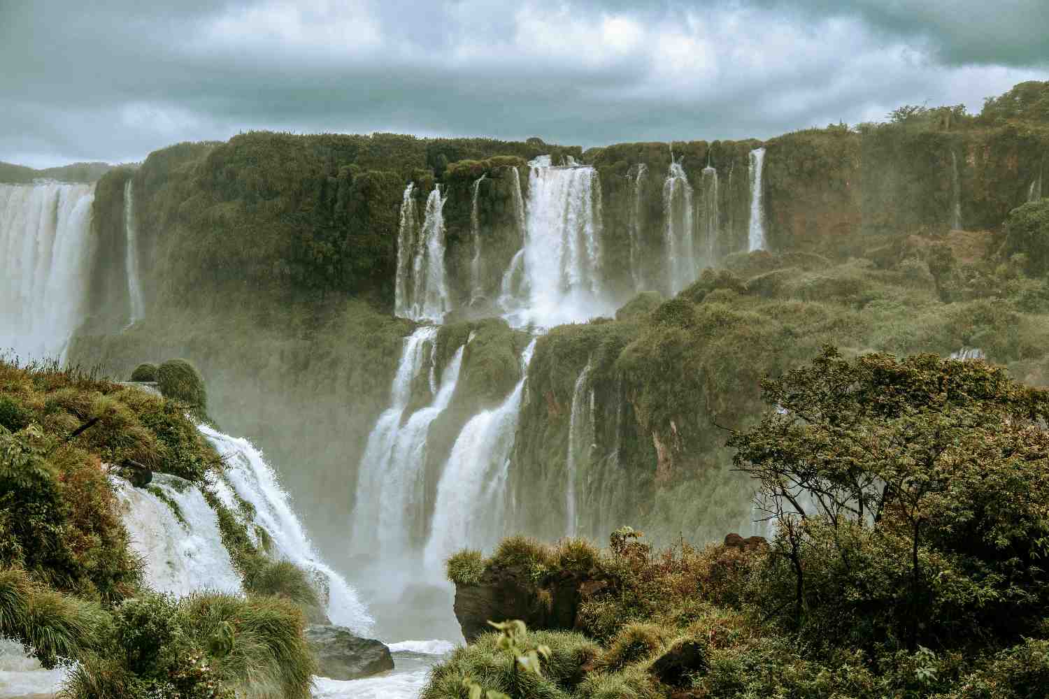 brazil biodiversity