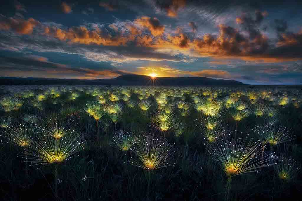 "Fireworks" by Marcio Cabral in Landscapes