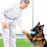 Ratan Tata and his dog