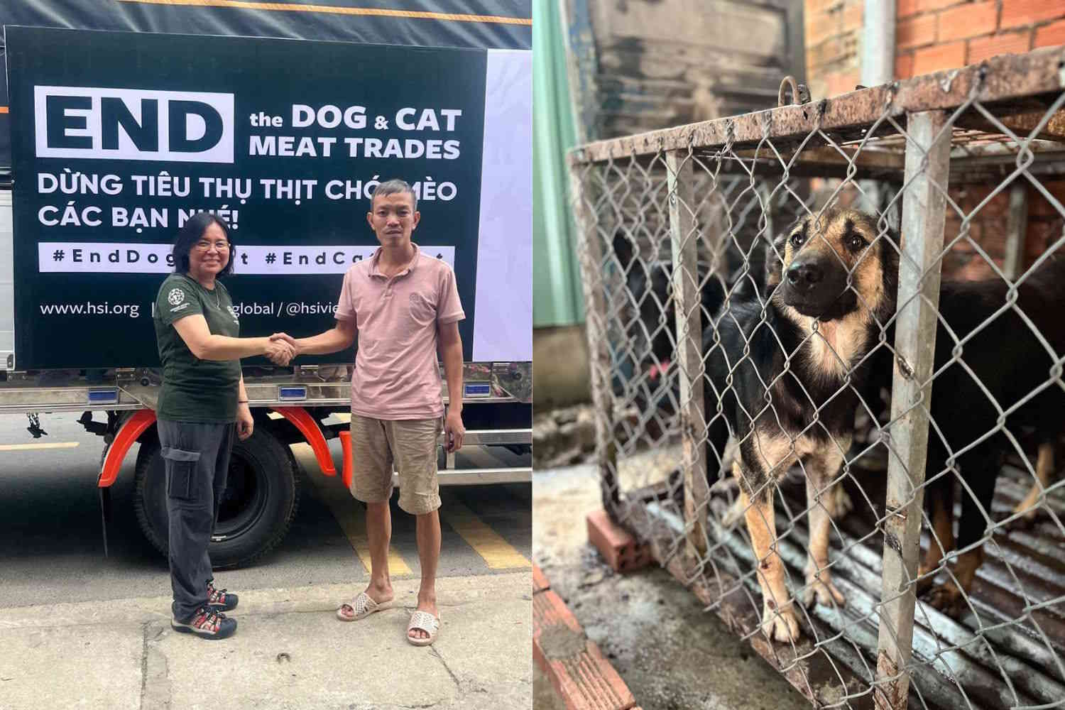 Vietnamese dog slaughterhouse