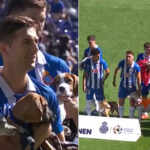 Espanyol players for pets adoption