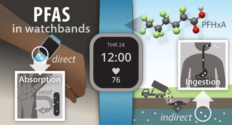 PFAS in watchbands