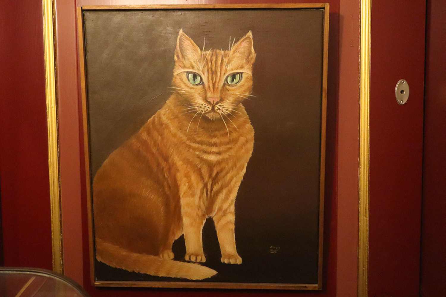 cats museum