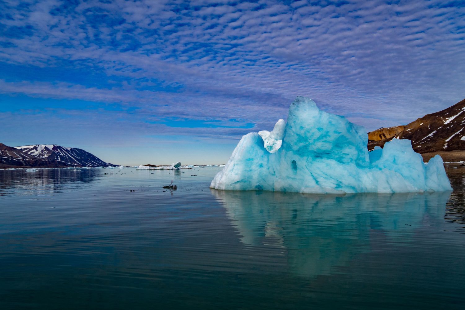 Glacier loss in Norway's svalbard islands