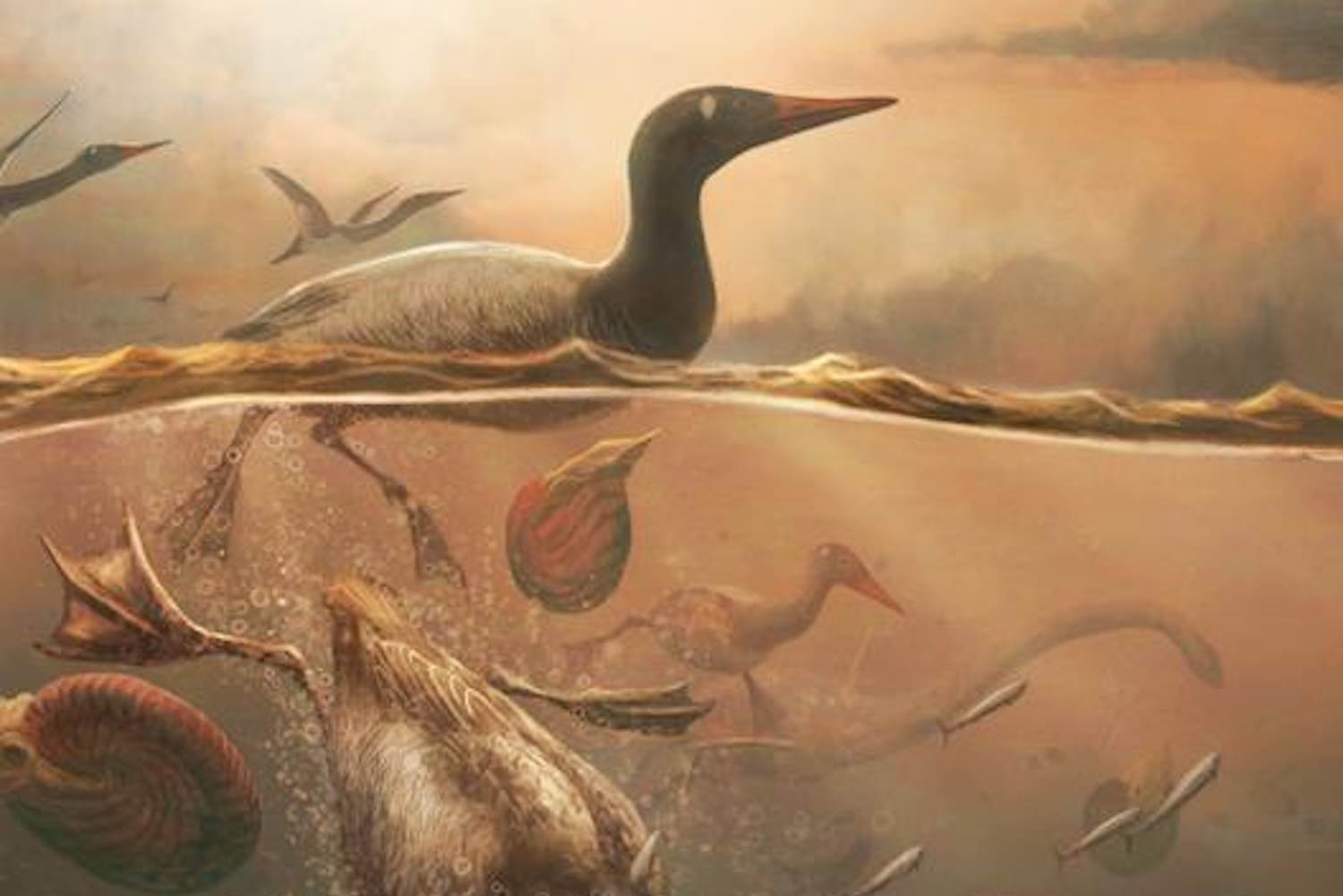 fossil bird skull discovery antarctica