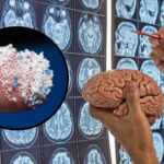 microplastics in the brain