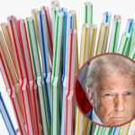 Trump rolls back paper straw regulations