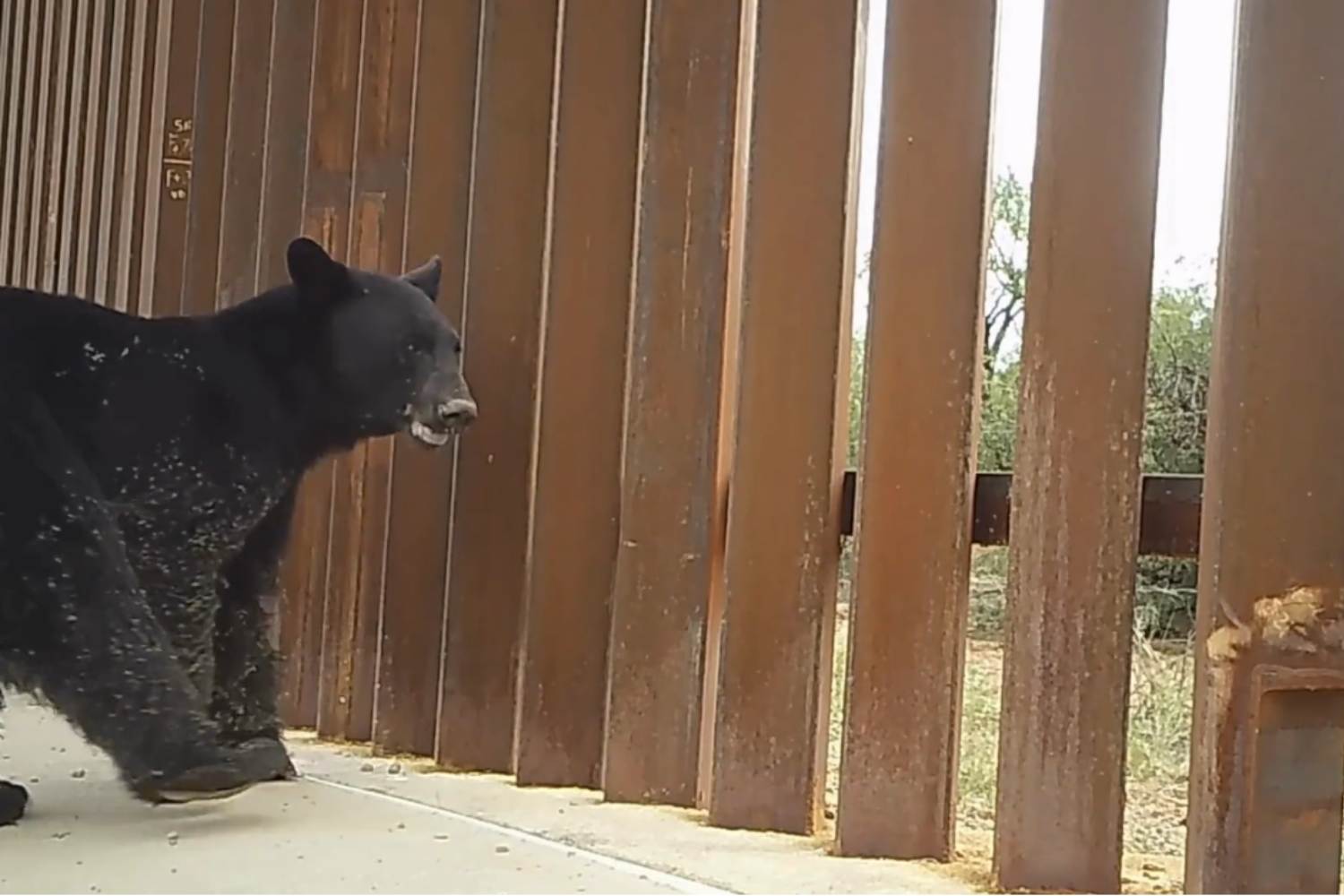 mexico border wall